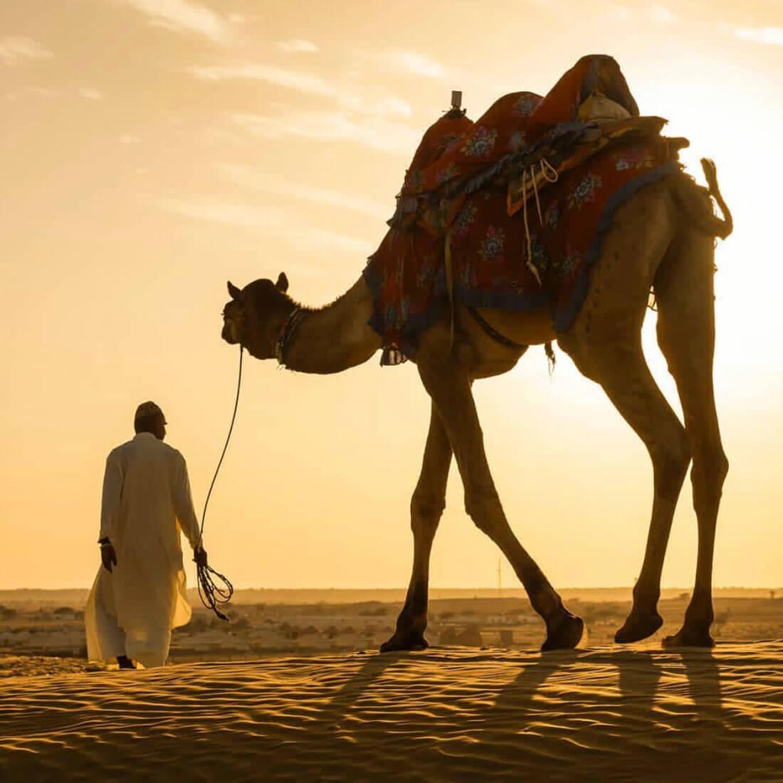 Camel safari in Jaisalmer